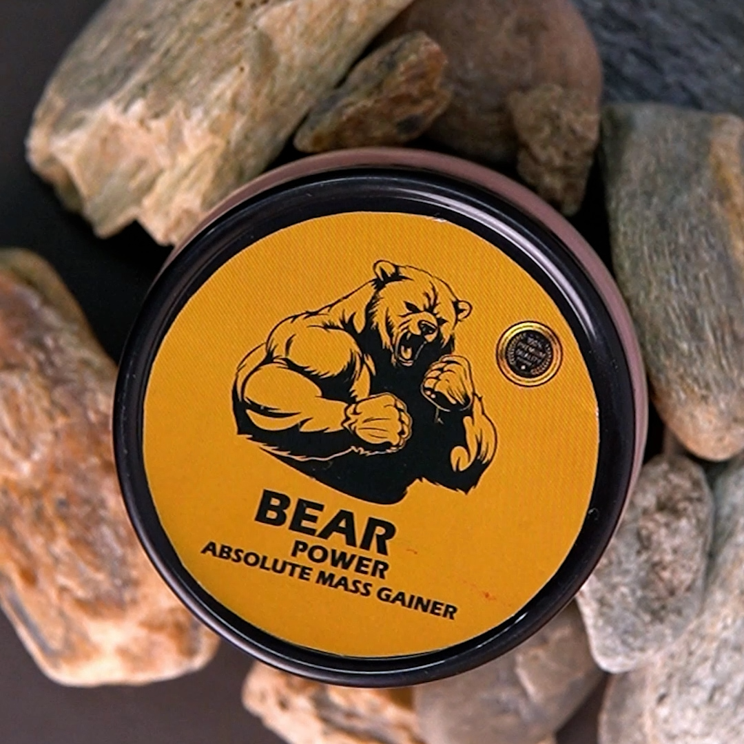 Bear Power Absolute Mass Gainer